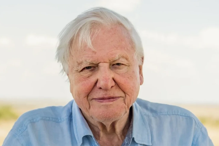 Sir David Attenborough receives IGU Planet and Humanity Award